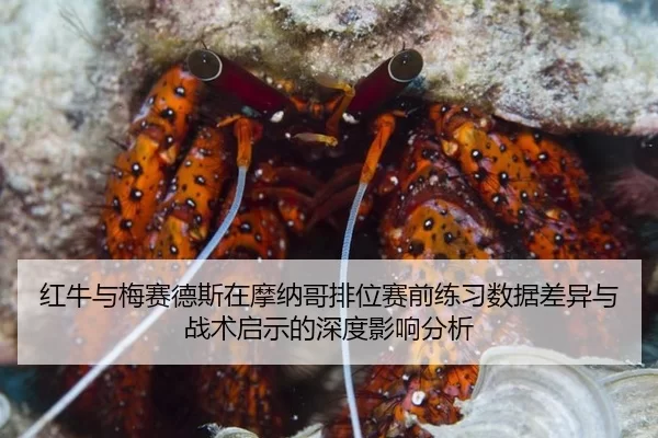 红牛与梅赛德斯在摩纳哥排位赛前练习数据差异与战术启示的深度影响分析